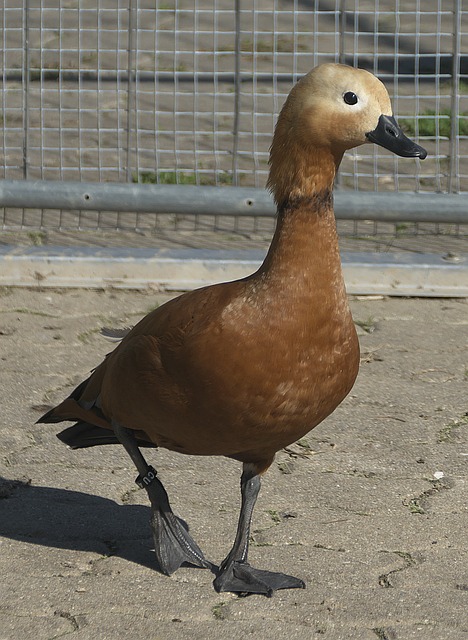 系统