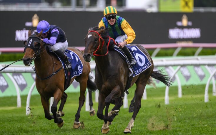 目标是利用 目标是利用