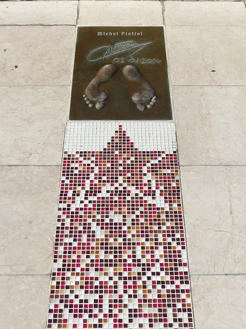 蓉城主教练 蓉城主教练